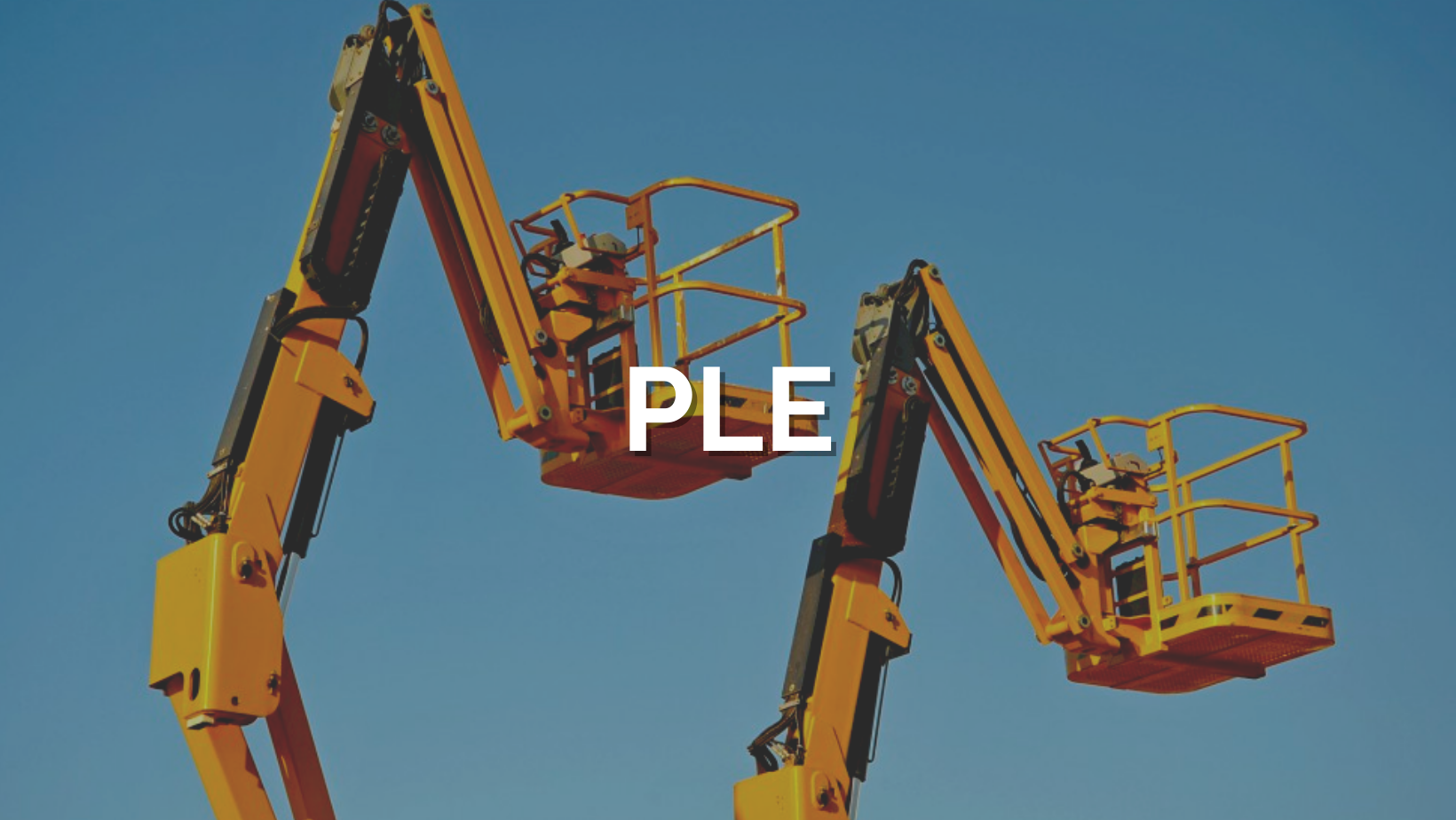 PLE (1)